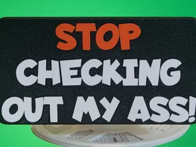 Stop Checking Out My Ass 3D print model