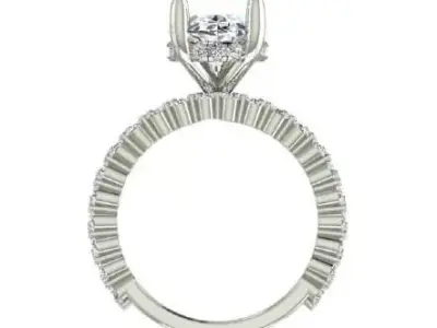 Classic Single Row Engagement ring and band Oval Center Diamond 3D print model