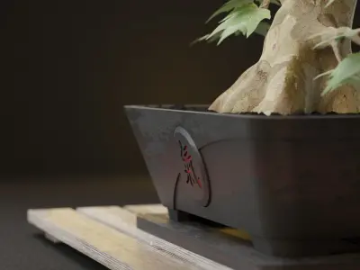Bonsai Bowl Chi 3D print model