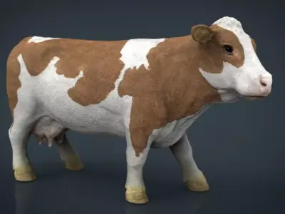 Cow 2 Low-poly 3D model