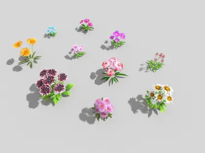10 low poly flowers pack 2 Low-poly 3D model