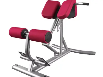 Lifefitness Signature Series Back Extension 3D model