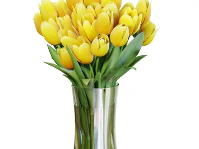 Flower Set 26 - Yellow Tulips Bouquet 3D model