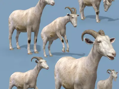 Top Goat 8K - 3d animated 3D model