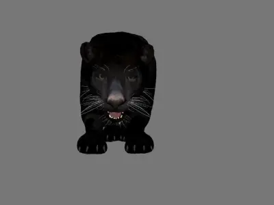 Panther black animations 3D model
