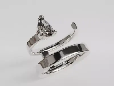 double ring 3D print model