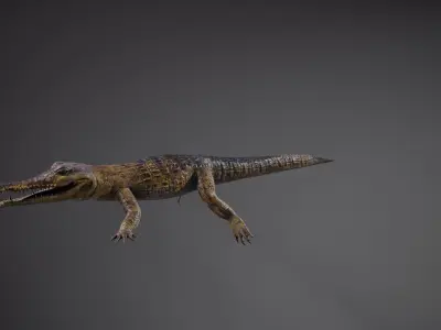 PBR Lowpoly Realistic Crocodile optimized for application Low-poly 3D model
