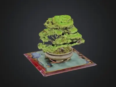 3D Model of a Bonsai Tree in a Pot 3D model