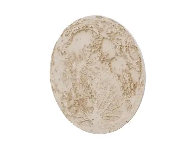  Decorative Moon 01 3D model