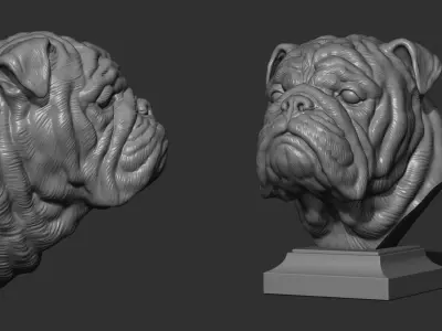 English bulldog bust 3D print model