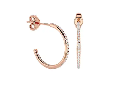 Women earrings model 3D print model