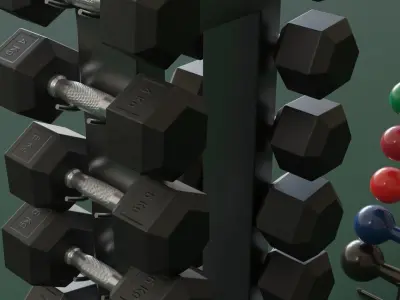 Dumbells kits and Racks 3D model