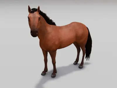 Horse 3D Model Low-poly 3D model