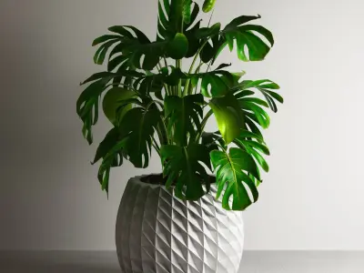 pot collection a02 5 pots