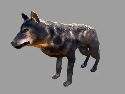 Wolf Animals Low-poly 3D model