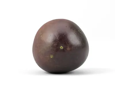 Photorealistic Passion Fruit 3D Scan 2 3D model