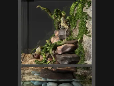Terrarium Agama 3D model