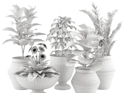 Indoor Plant Set 001 3D model