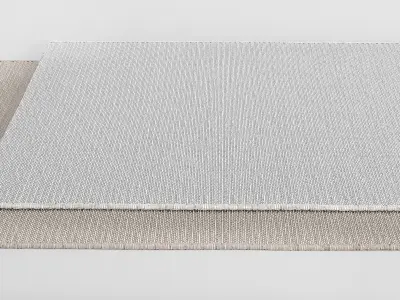 Custom Carpet 02 3D model