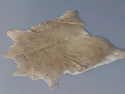 rug 3d model Low-poly 3D model