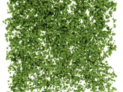 Maple wall 3 items 3D model