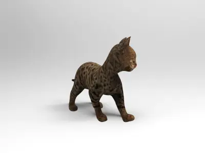 3d  Cat Animated Rigged low poly  Low-poly 3D model