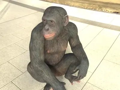 Ape monkey 3d model 3D model
