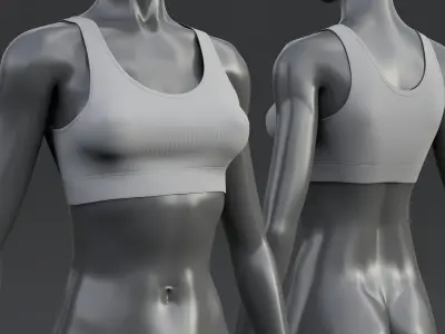 Nike Classic Sports Bra  3D model