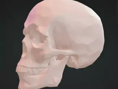 Skull 3D Model Realistic Decorative Sculpture Free 3D print model