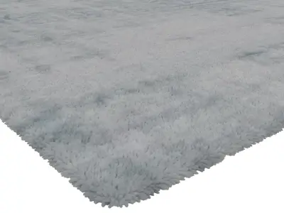 Rug Set 1081 3D model