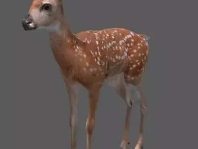 deer baby  Low-poly 3D model