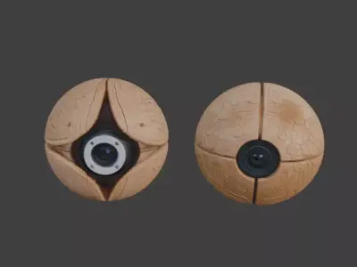 Walnut Shell Camera Two Model Pack Decorative Tech 3D Model 3D model