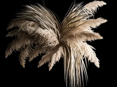 Hanging Bouquet Of Dry Reeds For Decoration 2 3D model