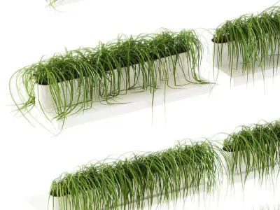 Grass on the shelves of 13 models 3D model