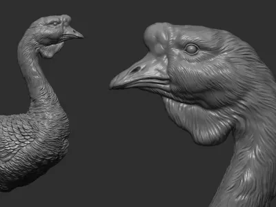 Goose Gander bust 3D print model