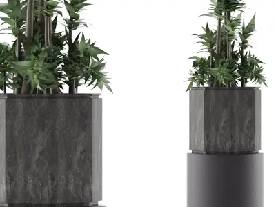 House Plant 20 3D model