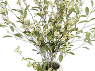 Bouquet 47 3D model
