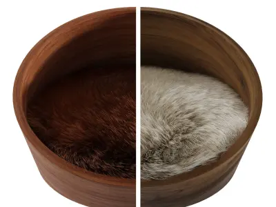 Covo Dog Lounge 3D model