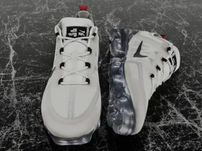 NIKE AIR VAPOR MAX MOON 3D SHOES Low-poly 3D model