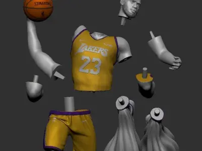 LeBron James 3D Printable 2 3D print model