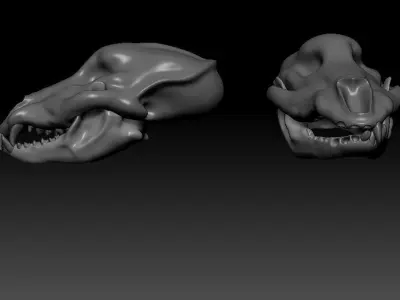 Wolf Skull Low-poly 3D model