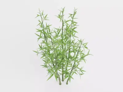 Bamboo Cluster Low-poly 3D model