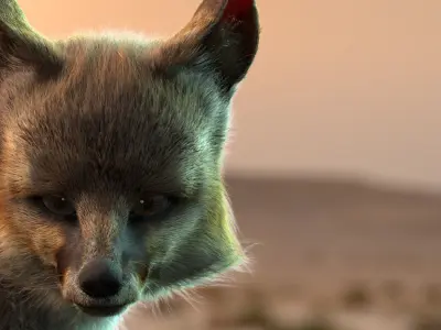 Blanfords Fox Low-poly 3D model