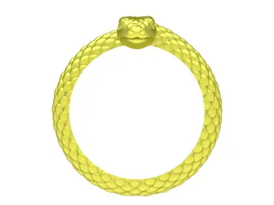 Coiled Snake Ring 3D Model for Jewelry Design 4060 3D print model