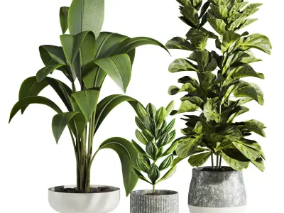 Plants  3D model purchase