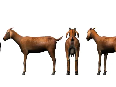 goat 3d model 3D model buy