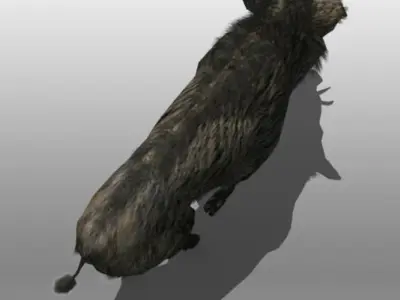Wild Boar 3D model