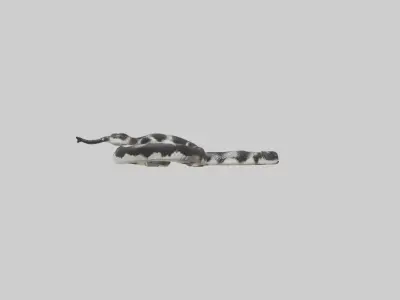 California King Snake slithering model Low-poly 3D model