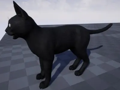 Cat - Bombay Low-poly 3D model