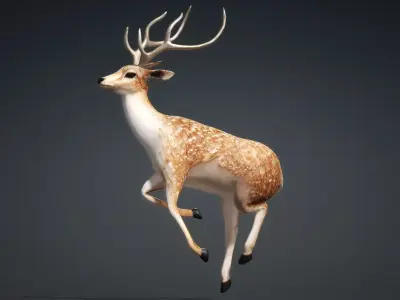 Deer-C4 3D model